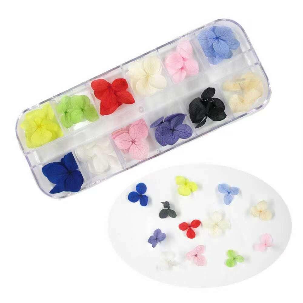 Набір сухоцвітів в контейнер для декору нігтів., фото 1