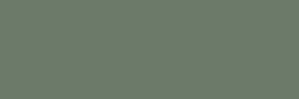 Paradyz Nightwish Green Rect. 25х75