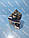 Клапан розвантажувальний шестиконтурний пневматичний DAF XF, CF II37464 з датчиком AE4528, 1607416, 1612054, фото 3