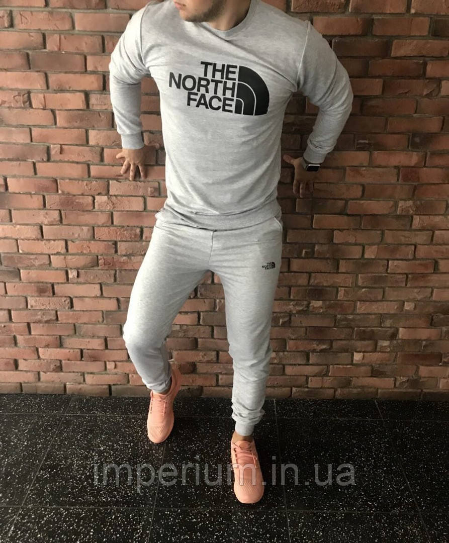 Спортивний трикотажний костюм the north face, фото 1