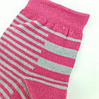 Шкарпетки жіночі демісезонні х/б Житомир 23-25р НЖД-02732, фото 5