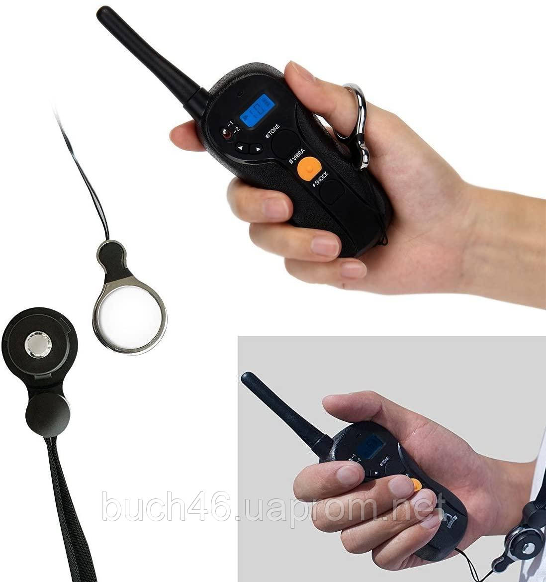 Patpet collar 2025
