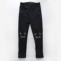 Зимові лосини з кошенятами на колінах Смайл Тайм SmileTime Blue Kitten