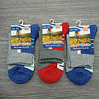 Шкарпетки жіночі осінь - зима високі SLID LEVA 36-39 р. малюнок асорті 30032596, фото 2