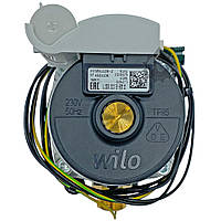 Насос Protherm Скат Ray Wilo INTMSL 12/6-2 0010025841