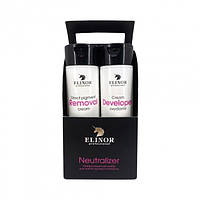 Нейтрализующий набор для снятия прямого пигмента Elinor Removal Set 460 мл