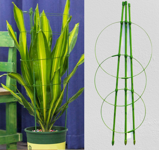 Купить Кольцевая опора для растений. 90*35 см, цена 152.50 ₴ — Prom.ua ...