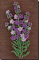 Набір стринг-арт Лаванда  АВС-021