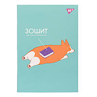 Тетрадь для записи иностранных слов, интегр., софт-тач + УФ-выб. "Corgi butt" YES