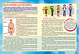 100 та 1 запитання й відповідь"про це"Все про що підлітки соромляться говорити з дор, фото 2