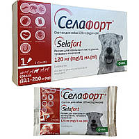 Селафорт спот-он для собак вагою 10,1 - 20 кг, (120 мг/1 мл),1 піпетка