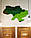 Карта України зі скандинавського декоративного моху. Незвичайний декор стіни з еко-матеріалу, фото 3