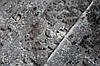 Сучасна сіра доріжка LEVADO 03889 A LIGHT-GREY, фото 10
