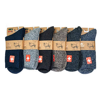 Чоловічі термоноски з ослабленою гумкою з верблюжої вовни Корона (меланж)