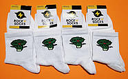 Шкарпетки високі весна/осінь Rock'n'socks 444-11 Україна one size (37-44р) НМД-0510484, фото 3