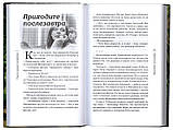 Рецепт гарного настрою. Наталія Романова-Сегень, фото 3