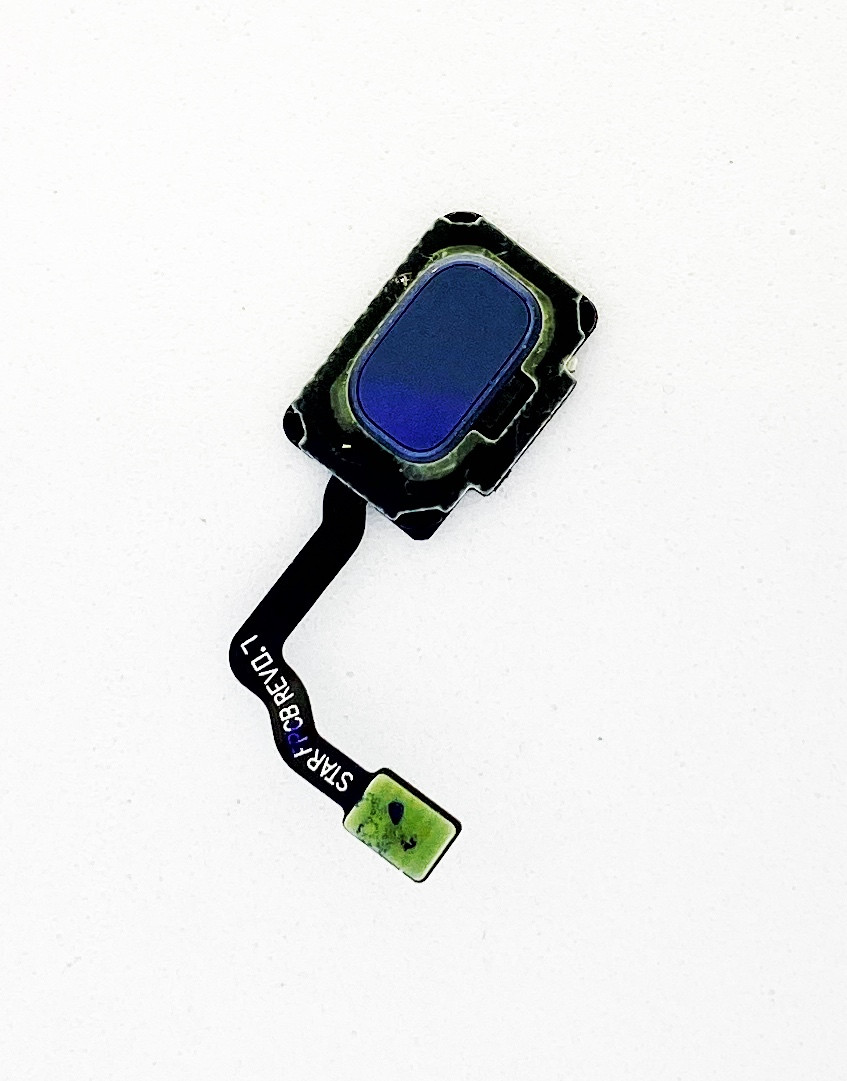 Шлейф для Samsung G960F Galaxy S9/G965F Galaxy S9 Plus, з сканером відбитка пальця, синього кольору, Coral Blue, фото 1