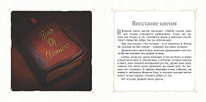 Книга "Восстание цветов." Д. Іщенко (рос), фото 3
