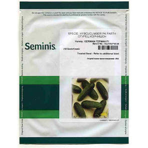 Насіння Огірок самозапильний Герман F1 поштучно 10 насінин Seminis, фото 3