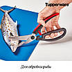 Ножиці для птиці Tupperware (Оригінал) Тапервер, фото 6