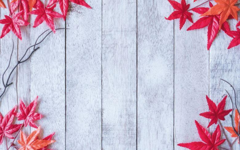 Фото-фон осінній вініловий 120×75 см "Горизонтальні дошки, червоні листя", фон для предметної зйомки ПВХ