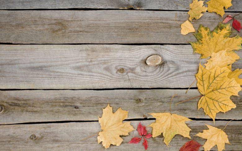 Фото-фон осінній вініловий 120×75 см "Сірі дошки, жовте листя клена", фон для предметної зйомки ПВХ