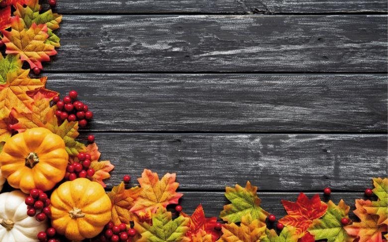 Фото-фон осінній вініловий 120×75 см Темно-сірі дошки. Листя, гарбуза ягоди" тло для предметної зйомки ПВХ