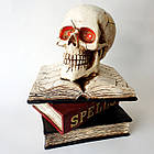 Декор на Хелловін Череп на стародавніх книгах із підсвіткою, фото 4