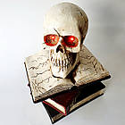 Декор на Хелловін Череп на стародавніх книгах із підсвіткою, фото 2