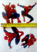 Дитячі наклейки на стіну, двері, шафу, вікна "Людина-павук Spider-Man" (лист 30*60 см), фото 4