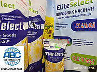 Соняшник #есальфа під Гранстар, 51ц/га. Насіння соняшника ЄС Альфа #ЕлітаСелект A-G. Преміум, фото 9