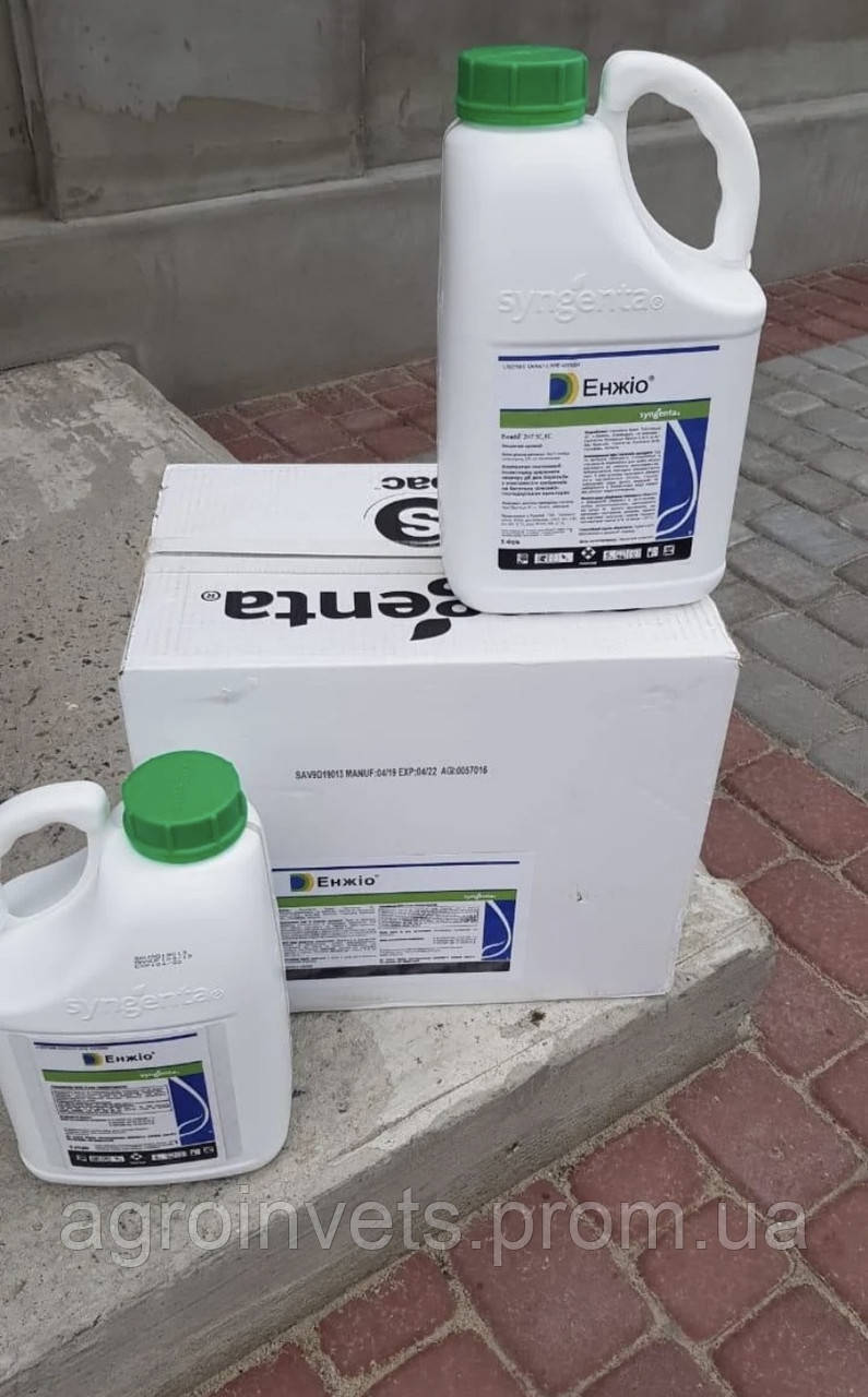 Інсектицид Енжіо, 247 SC,KC, Syngenta Оригінал