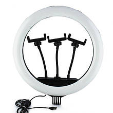 Кільцева лампа 36 см SP-14 LED RING FILL LIGHT BlueBox (з 2 держ.)