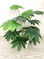 Штучний кущ для декору - Фатсія ( латекс 68 см), фото 2