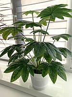 Штучний кущ для декору - Фатсія ( латекс 68 см), фото 7