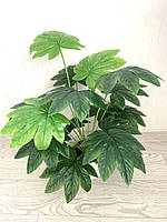 Штучний кущ для декору - Фатсія ( латекс 68 см), фото 5