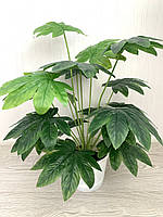 Штучний кущ для декору - Фатсія ( латекс 68 см), фото 4