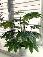 Штучний кущ для декору - Фатсія ( латекс 68 см), фото 6