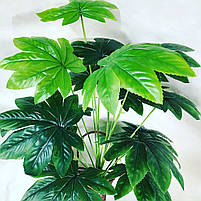 Штучний кущ для декору - Фатсія ( латекс 68 см), фото 10