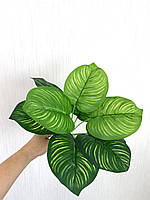 Штучний кущ-калатія, рослина для декору ( 33 см, латекс), фото 3