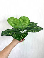 Штучний кущ-калатія, рослина для декору ( 33 см, латекс), фото 5