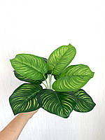 Штучний кущ-калатія, рослина для декору ( 33 см, латекс), фото 4