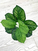 Штучний кущ-калатія, рослина для декору ( 33 см, латекс), фото 6