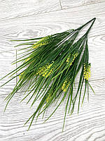 Лаванда декоративна (жовта), фото 5