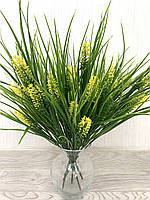 Лаванда декоративна (жовта), фото 2