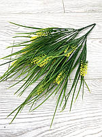 Лаванда декоративна (жовта), фото 4