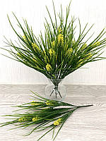 Лаванда декоративна (жовта), фото 3