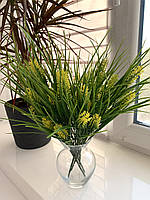 Лаванда декоративна (жовта), фото 6