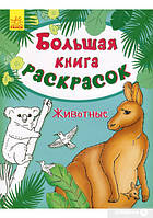 Великі книги розмальовок