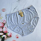 Жіночі бавовняні трусики #5140 Aоnidaisi, фото 9